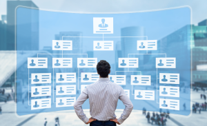 Persona analizando organigrama institucional